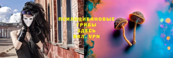 крисы Армянск