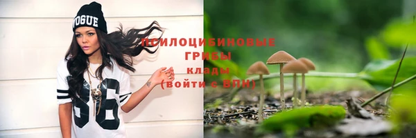 крисы Армянск