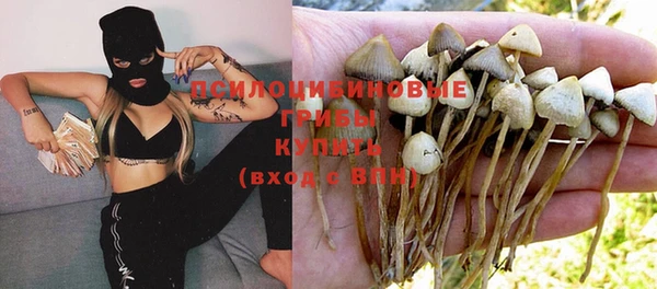 крисы Армянск