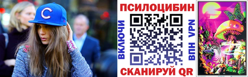Псилоцибиновые грибы Psilocybe  Купить где  Краснокаменск 